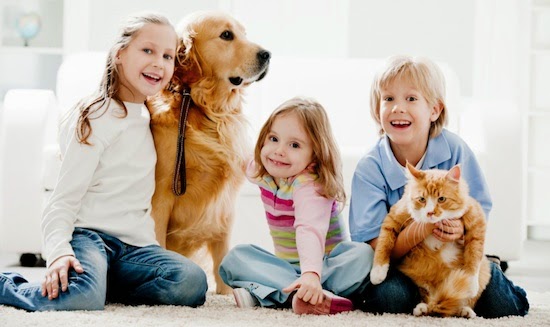 Familia con su perro y su gato